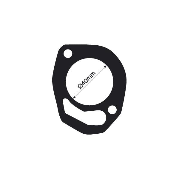 Tridon Thermostat Gasket TTG55
