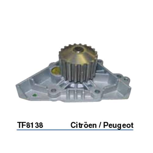 Tru-Flow Water Pump (Saleri Italy) TF8138