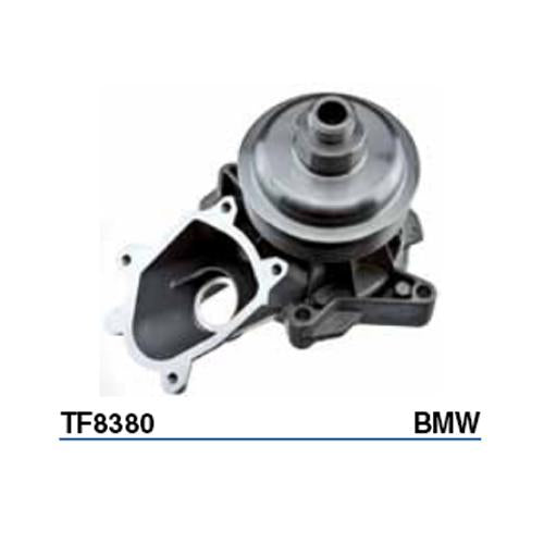 Tru-Flow Water Pump (Saleri Italy) TF8380