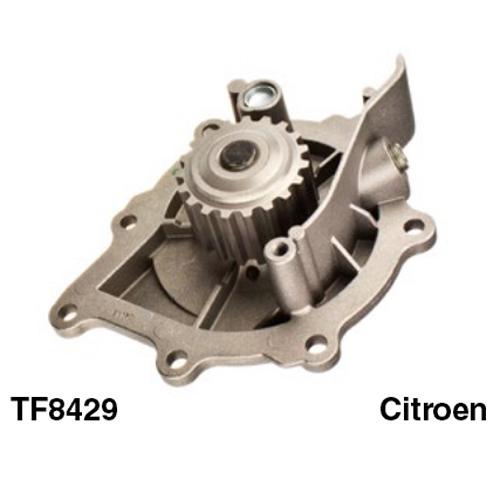 Tru-Flow Water Pump (Saleri Italy) TF8429