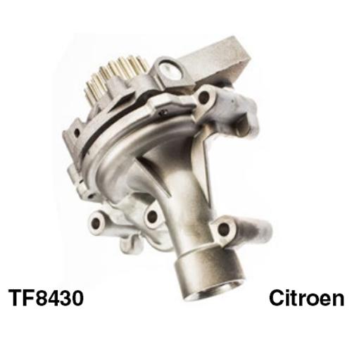 Tru-Flow Water Pump (Saleri Italy) TF8430