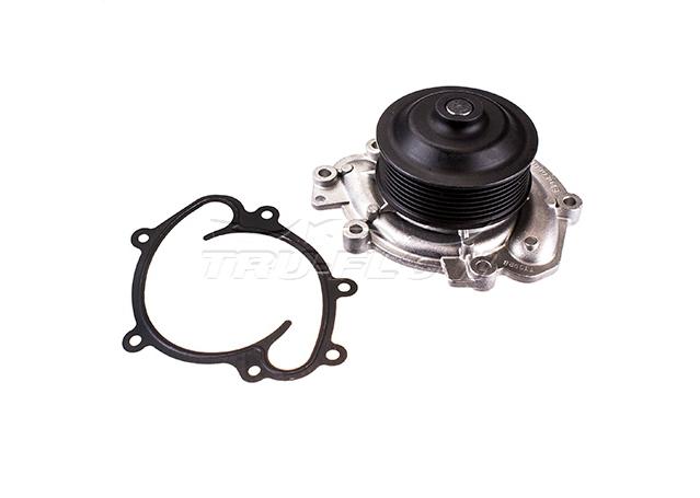 Tru-Flow Water Pump (Saleri Italy) TF8431