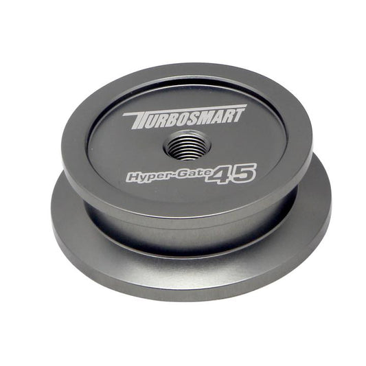 Turbosmart WG45 Welding Purge Bung